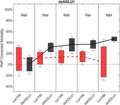 RNA interference-mediated knockdown of genes involved in sugar transport and metabolism disrupts psyllid Bactericera cockerelli (Order: Hemiptera) <mark class="highlighted">gut physiology</mark> and results in high mortality